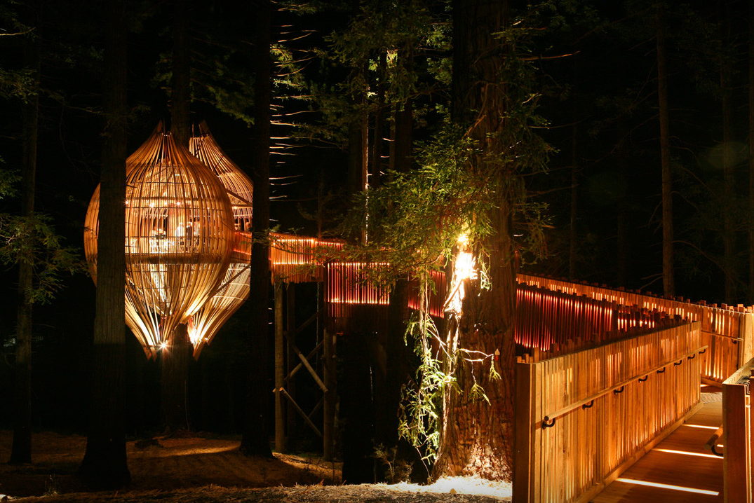 森林鸟笼餐厅